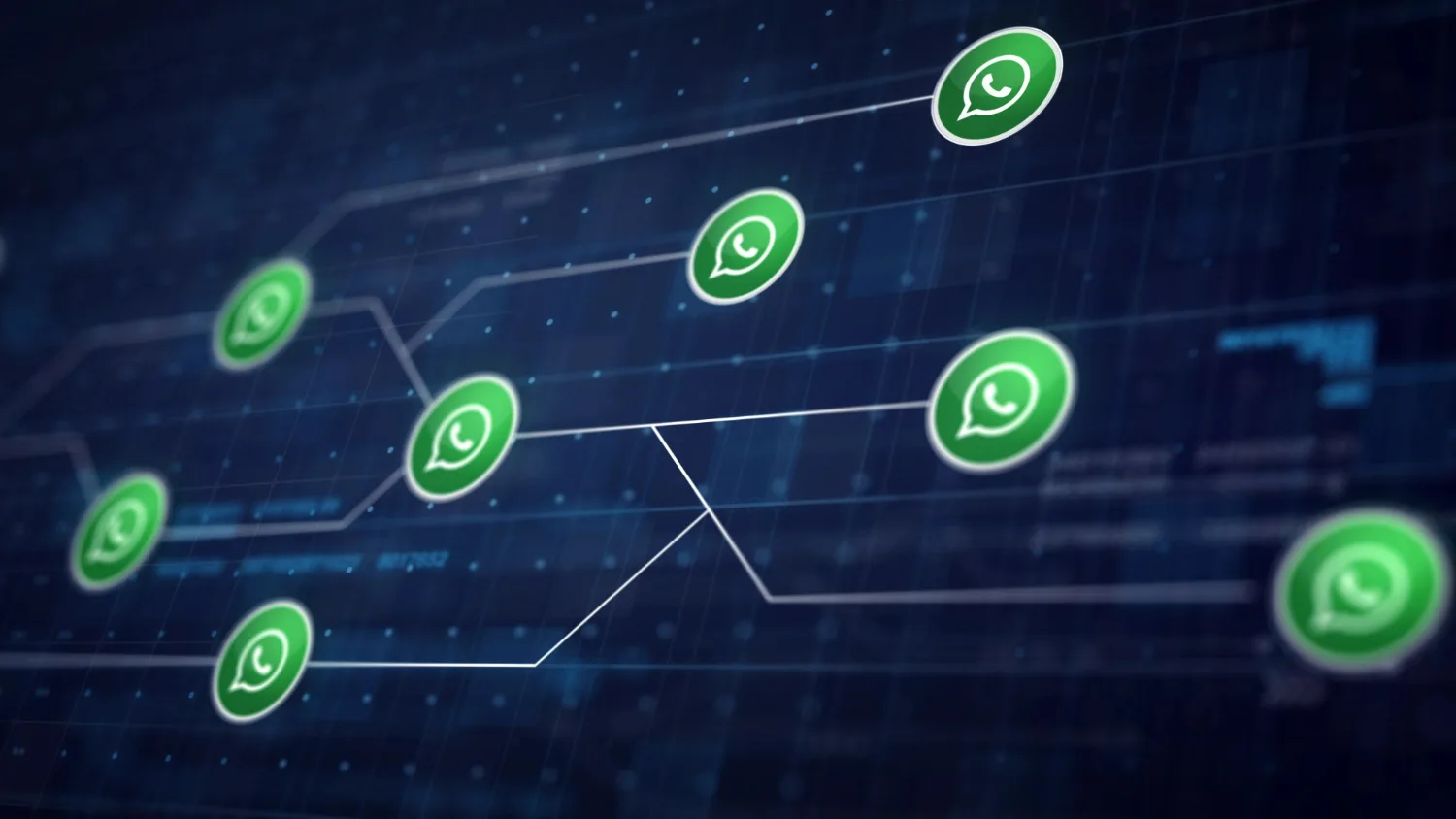 Descubra o número da LuzIA do WhatsApp e como ela pode te ajudar 1 Descubra o número da LuzIA do WhatsApp e como ela pode te ajudar