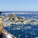 Jovem holandês limpando lixo plástico do oceano em barco.