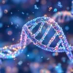 Longevidade celular: Biologia sintética, a nova fronteira contra o envelhecimento