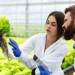 O futuro da agricultura e alimentação com a biologia sintética 3 O futuro da agricultura e alimentação com a biologia sintética