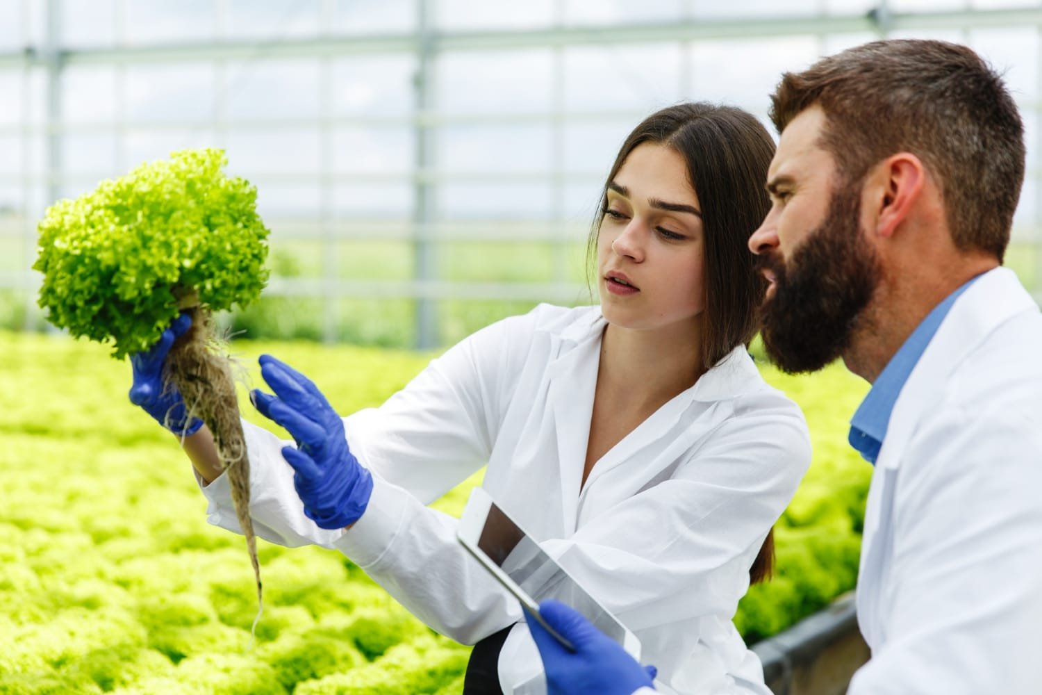 O futuro da agricultura e alimentação com a biologia sintética 1 O futuro da agricultura e alimentação com a biologia sintética