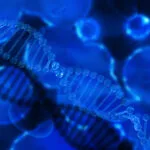 "Vida Espelho": Cientistas alertam sobre essa ameaça sem precedentes 3 "Vida Espelho": Cientistas alertam sobre essa ameaça sem precedentes